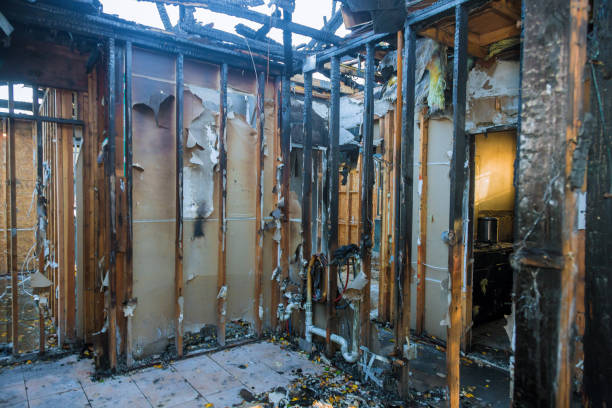 Professional Structural Rebuild technician working in Hyrum, UT